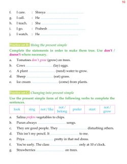 5th Grade Grammar Present Simple - Present Continuous 11.jpg